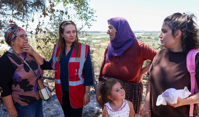 Antalya'da yangın bölgelerinde hasar tespit çalışması başladı