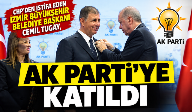 POLİTİKA