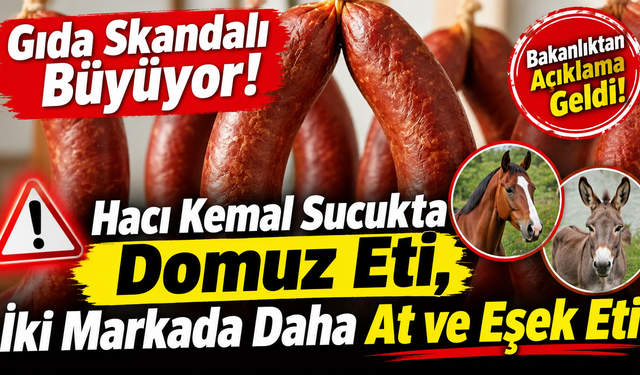 Gıda Skandalı Büyüyor! Hacı Kemal Sucukta Domuz Eti, İki Markada Daha At ve Eşek Eti