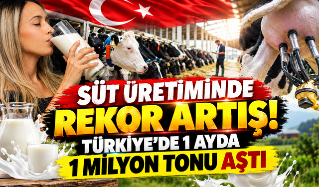 SÜT ÜRETİMİNDE REKOR ARTIŞ! TÜRKİYE'DE 1 AYDA 1 MİLYON TONU AŞTI