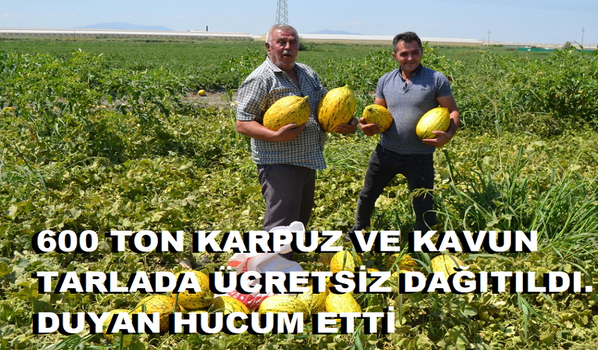 600 TON KARPUZ VE KAVUN TARLADA ÜCRETSİZ DAĞITILDI. DUYAN HUCUM ETTİ