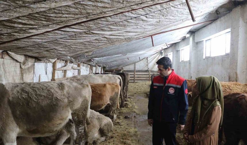 25 yıl sonra döndüğü memleketinde kendi işletmesini kurarak kadınlara örnek oldu