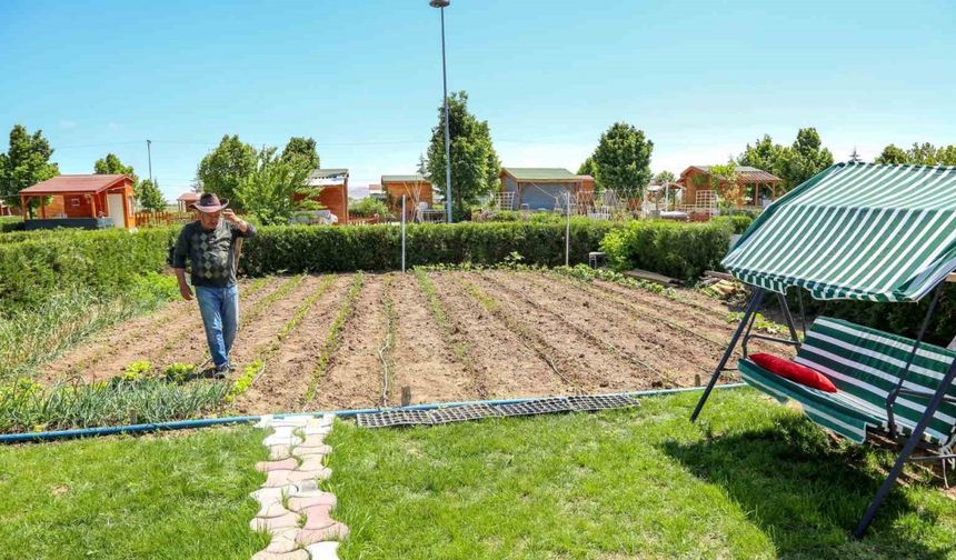 Meram Belediyesi Hobi Bahçelerine başvurular 15 Ocak’ta başlıyor