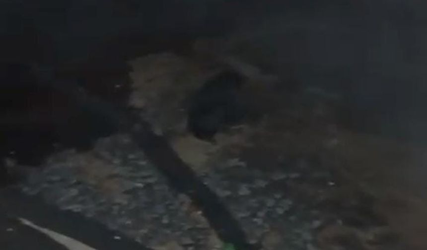 Ahırda çıkan yangın söndürüldü