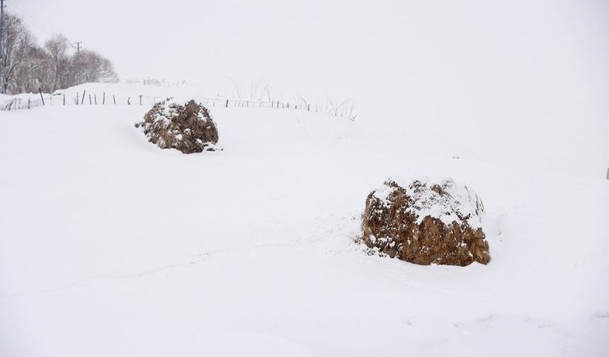 Diyadin’de murat nehri buz tuttu