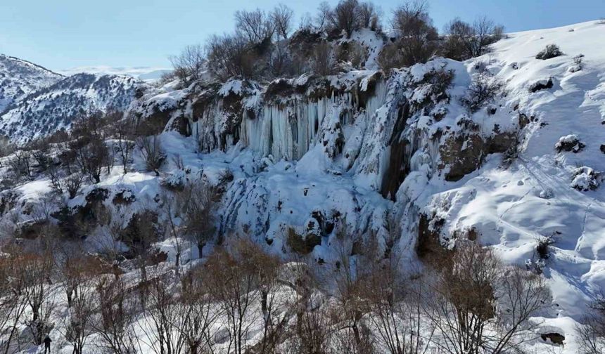 Erzincan buz kesti: Girlevik Şelalesi’nde uzunluğu 2 metreyi aşan buz sarkıtları oluştu
