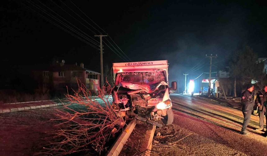 Refüje çıkan kamyonet ağaçları devirip, direğe çarparak durabildi