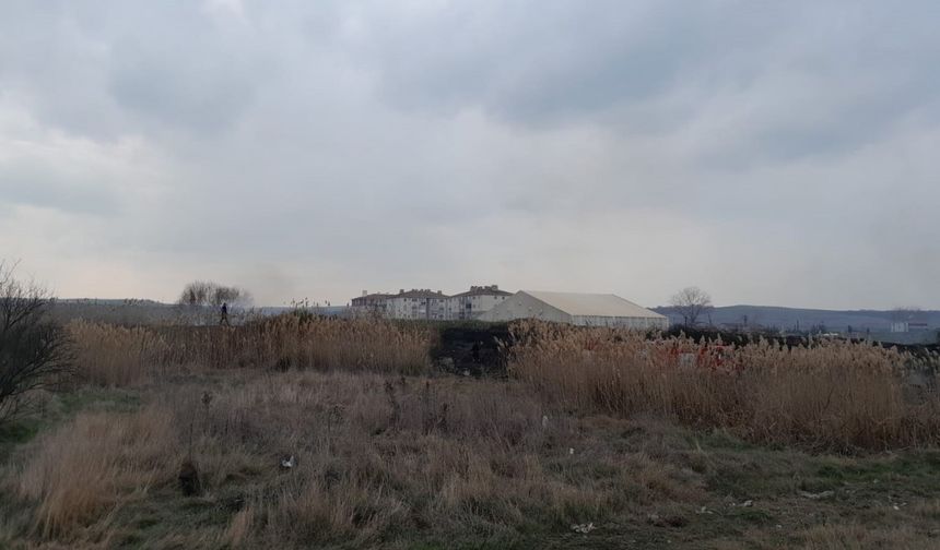 Tekirdağ’da otluk alanda yangın