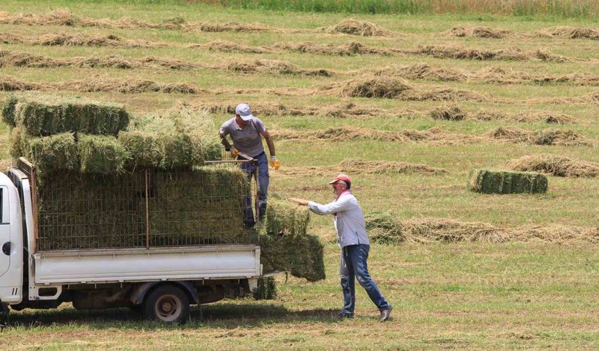 Saman fiyatları 3 ayda yüzde 18,4 yükseldi