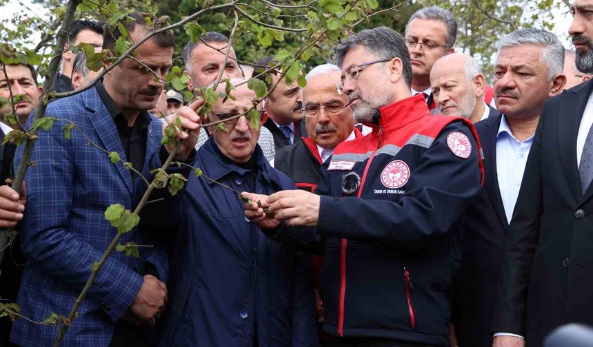 Bakan Yumaklı: "Zirai don nedeniyle zarar gören ağaçlarda kulaktan dolma bilgilerle budama yapılmamalı"