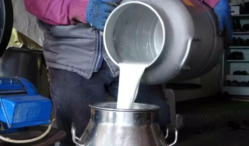 Ardahanlı Süt Üreticileri Fiyatlardan Dertli