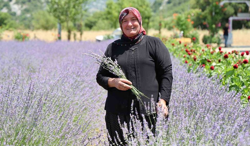 Lavanta Kokulu Hanımağalar