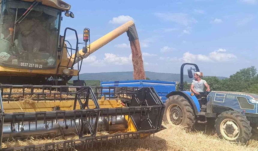 Tarım şehri Bilecik’te arpa ve buğday bereketi