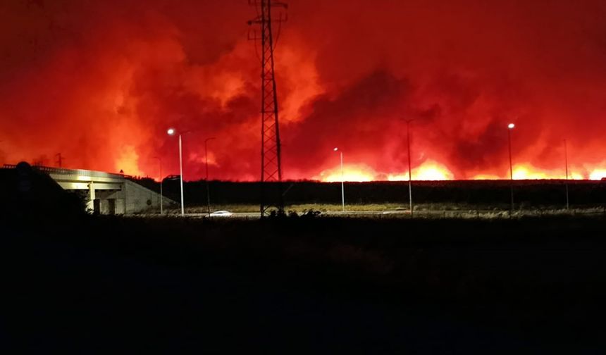 Tekirdağ’da orman yangını geceyi gündüze çevirdi