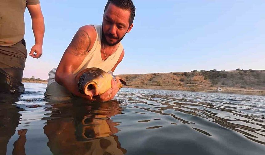 Yakaladıkları balıkları gelecek nesiller için serbest bırakıyorlar