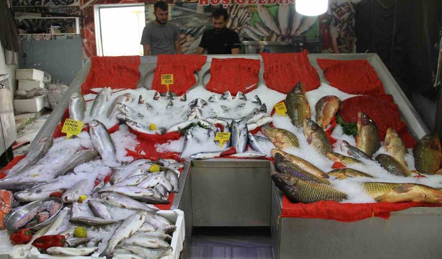 Esnafta ‘balık sezonu’ hazırlığı