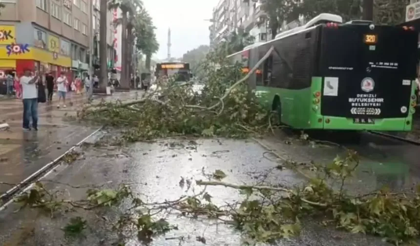 Üzerine ağaç devrilen belediye otobüsünde can pazarı