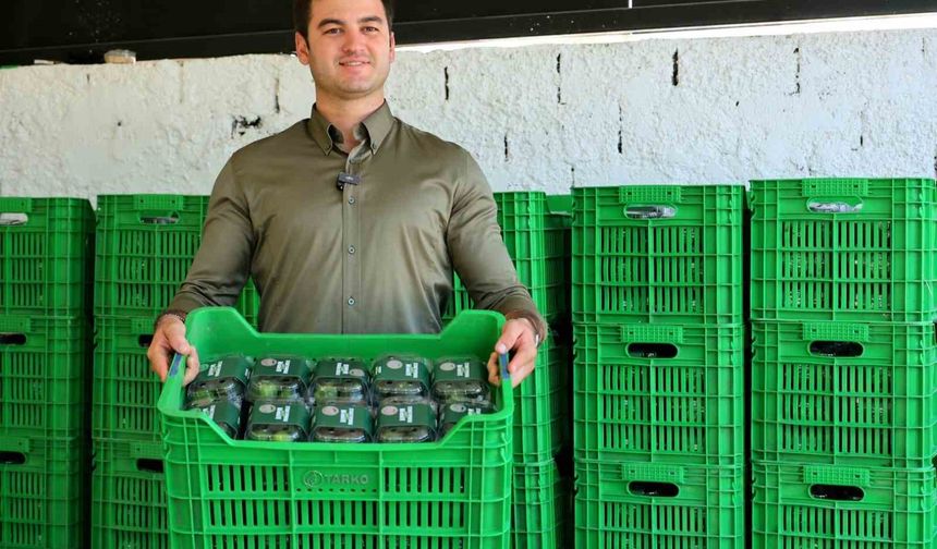 Yeşil Bodrum Mandalini, vatandaşla buluşuyor