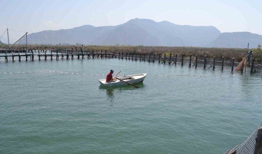 Havuzlar açılmadı, tonlarca balık telef oldu iddiası