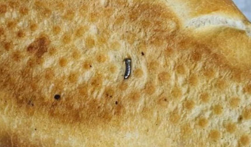 Siirt’te ekmekten çivi çıktı