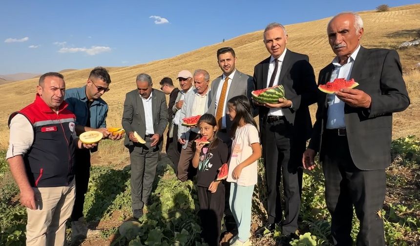 Yüksekova’da mısır, karpuz ve kavun hasadı yapıldı