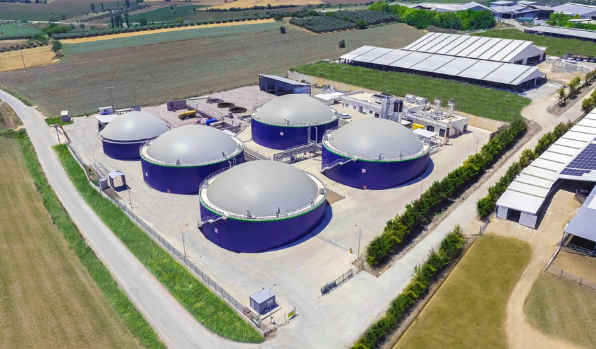 Ecogreen Enerji Halka Arzla Sahneye Çıkıyor: 1,1 Milyar TL’lik Dev Hamle!