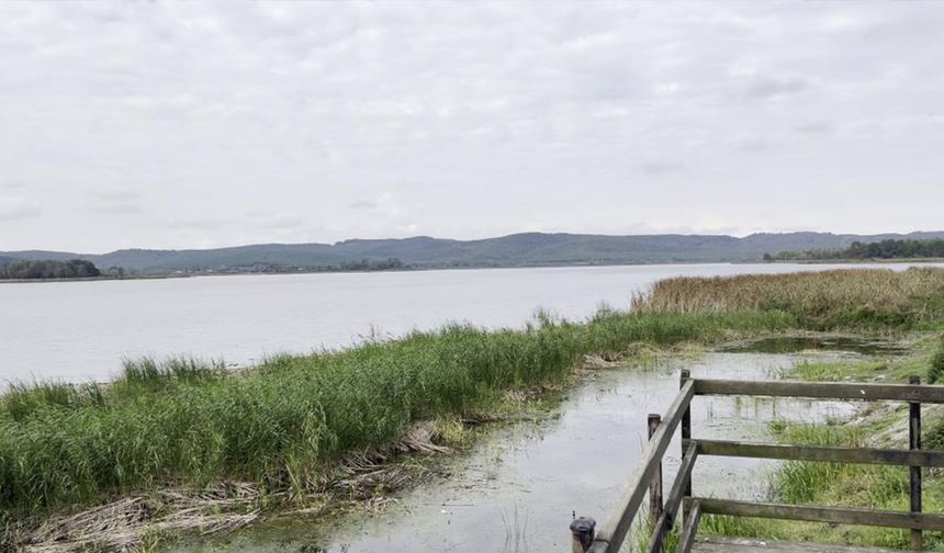 Sakarya’nın alüvyon set gölü can çekişiyor: Su seviyesi 8 metreden 2 metreye düştü