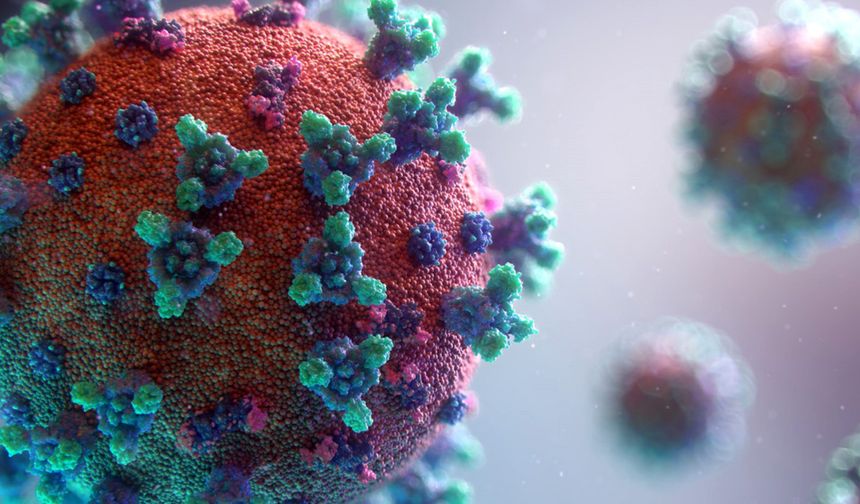 Uzmanı kış için uyardı: "İkinci zirve dalga gelebilir"