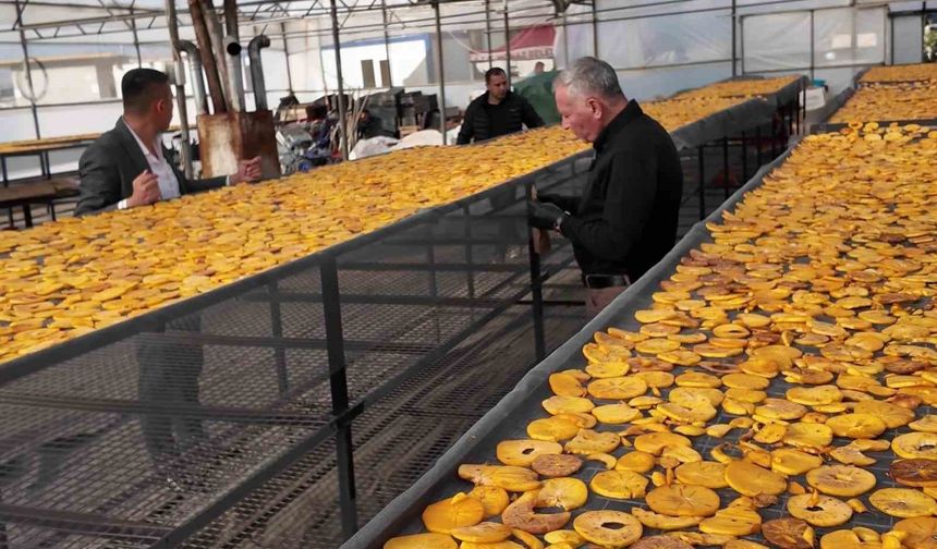 Honaz’ın meşhur cennet hurması bu kez cips olarak damakları şenlendirecek