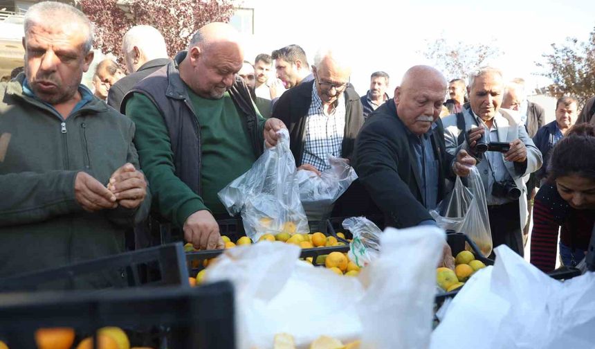 Mandalinanın fiyatı 2 TL’ye düşünce tonlarca ürünü vatandaşlara ücretsiz dağıttılar