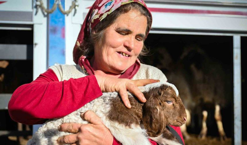 Mersin’de yem ve küçükbaş desteği üreticiyi güçlendiriyor