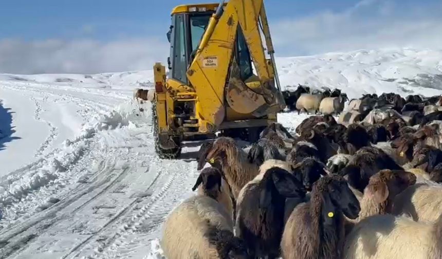 Muş’ta yoğun kar yağışı
