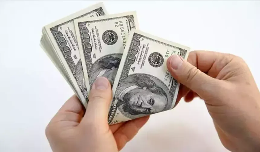 Serbest piyasada döviz fiyatlarında işin detayı