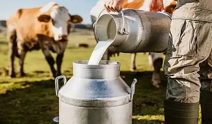 Aralık ayında ticari süt işletmelerince 930 bin 898 ton inek sütü toplandı
