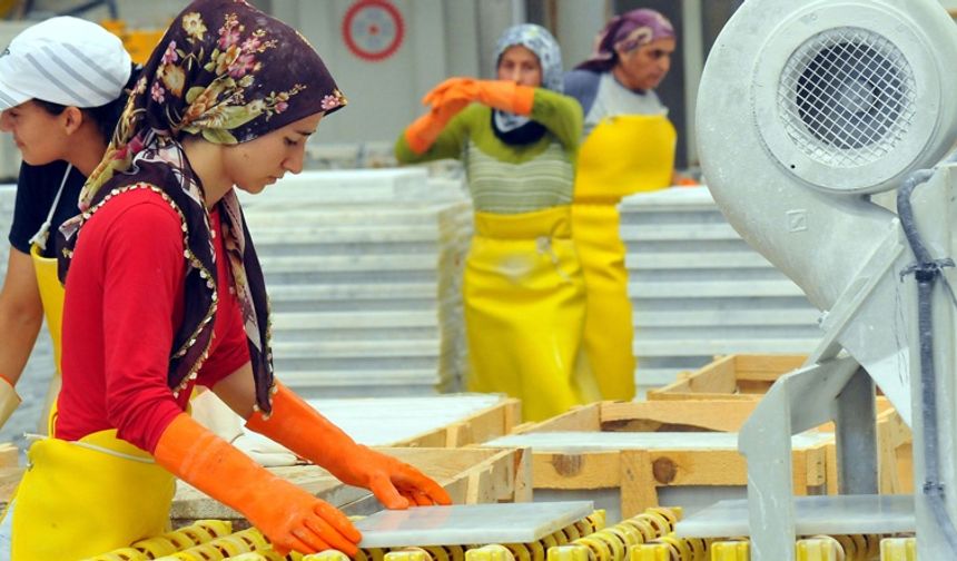 Hizmet üretim endeksi yıllık yüzde 4,2 arttı