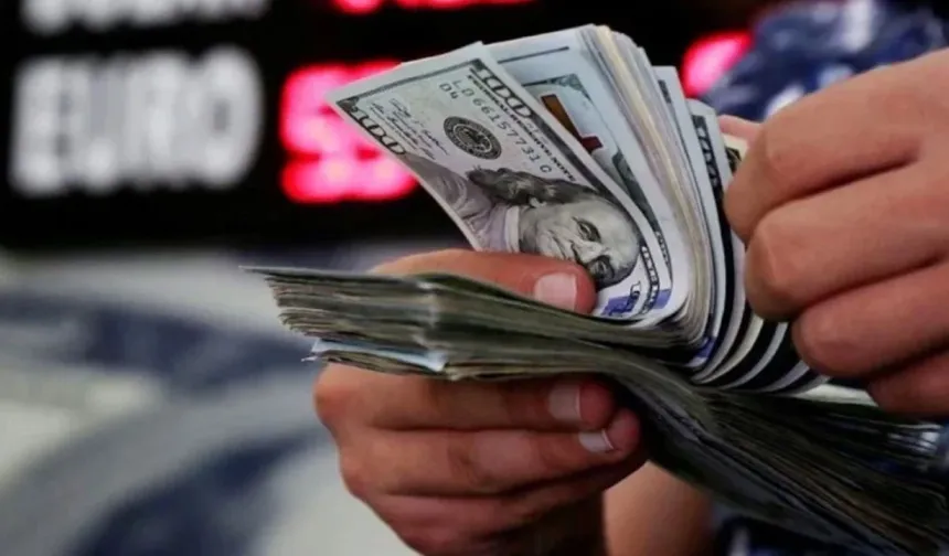 Özel sektörün yurt dışı kredi borcu Aralık ayında 219,7 milyar dolar oldu