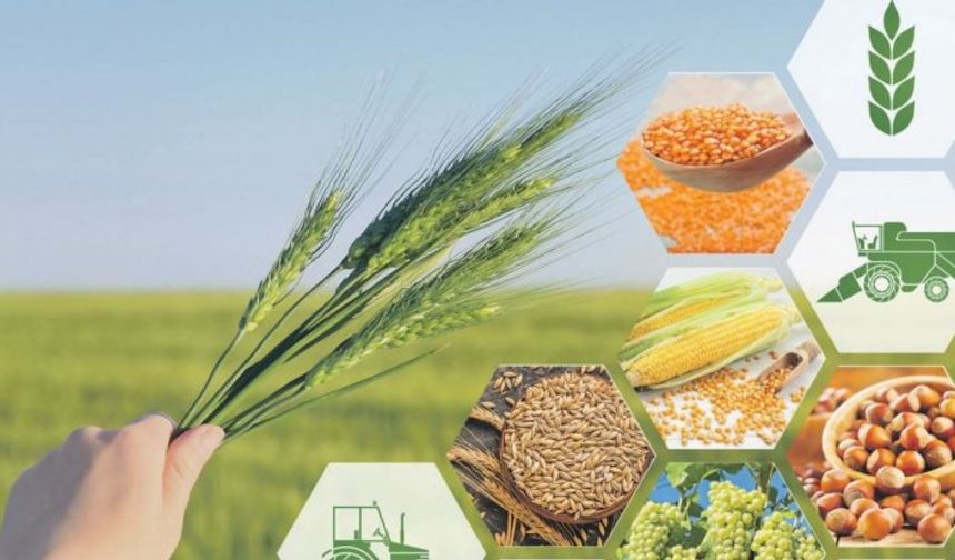 Tarım-ÜFE yıllık yüzde 43,58 arttı