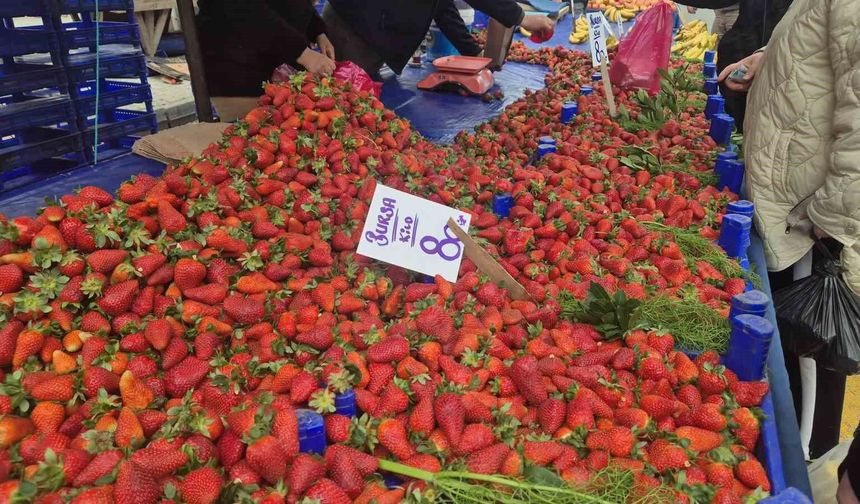 80 TL’lik çileğe yoğun ilgi