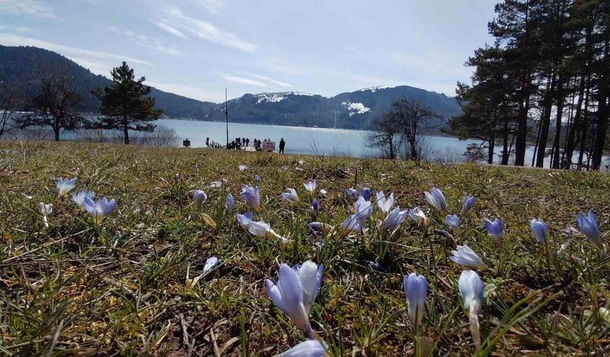 Abant’ta karların ardından bahar manzarası