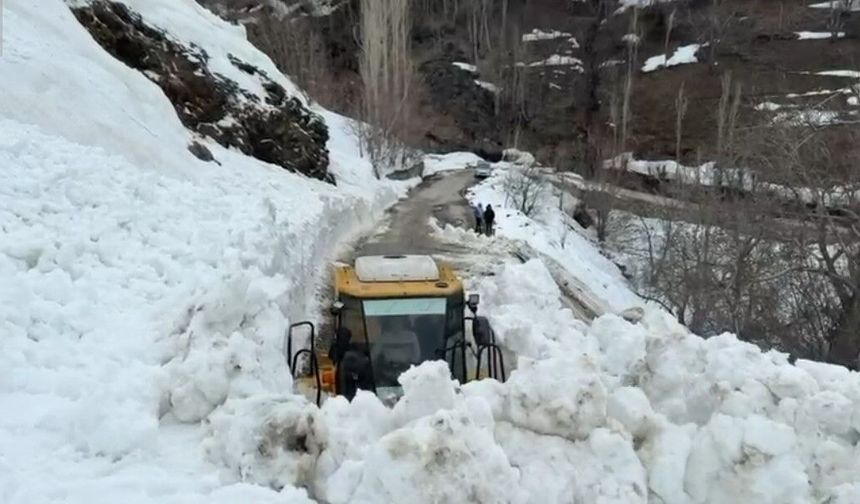 Bahçesaray’da yola çığ düştü