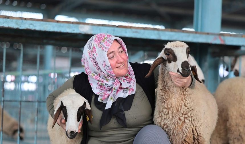 Hayvancılık desteği üreticileri sevindirdi