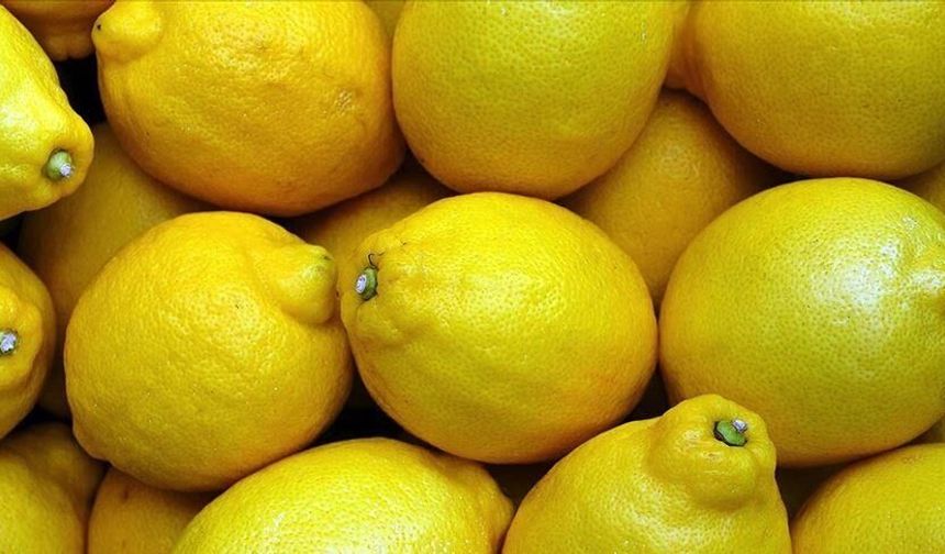 Limon İthalatında Vergi Düzenlemesi: %10’a İndirildi