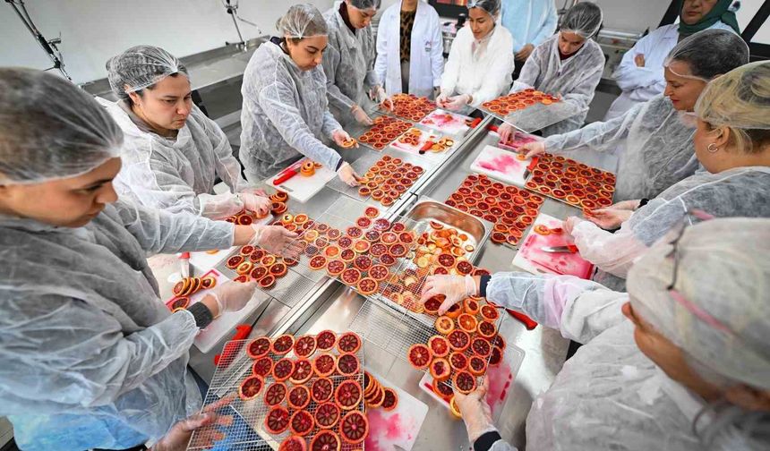 Mersin’de kan portakalı kadınların elinde değer kazanıyor