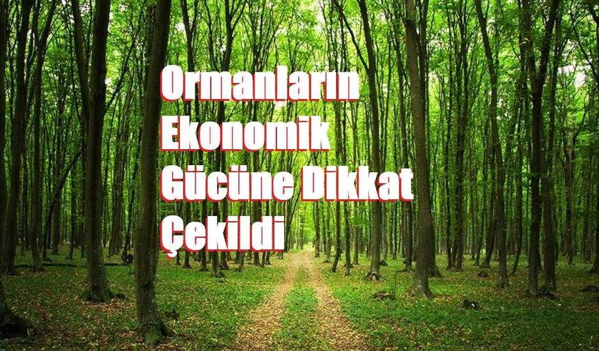Ormanların Ekonomik Gücüne Dikkat Çekildi