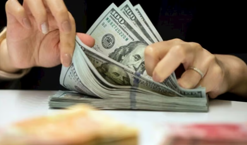 Reel Efektif Döviz Kuru Bir Yılın Zirvesinde