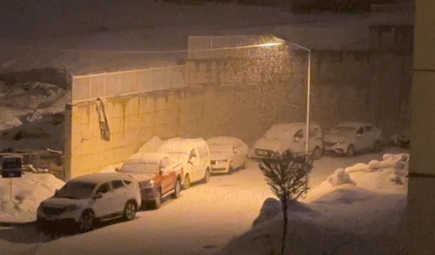 Yüksekova’da kar yağışı etkili oldu