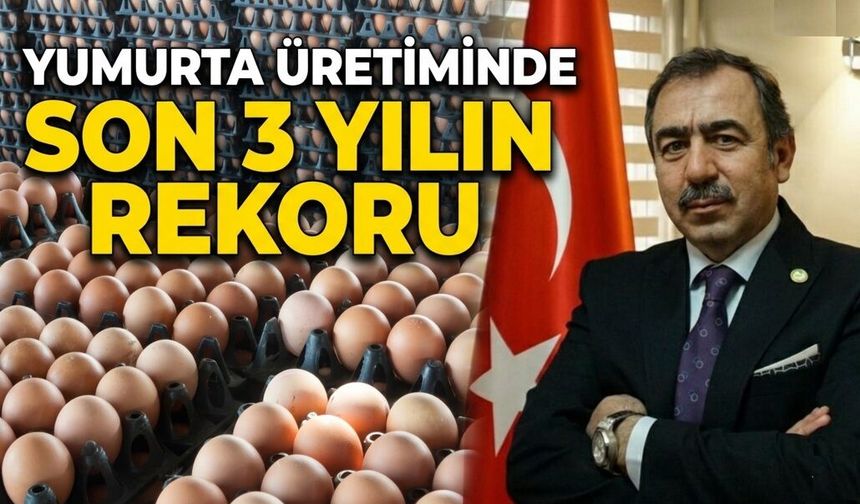 YUMURTA ÜRETİMİNDE SON 3 YILIN REKORU