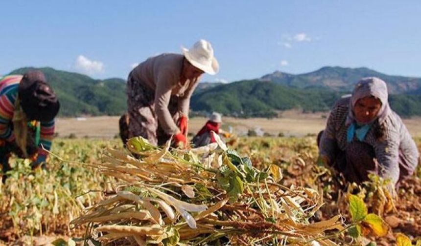 Bakanlıktan kırsal kalkınma yatırımlarına yüzde 70’e kadar hibe desteği