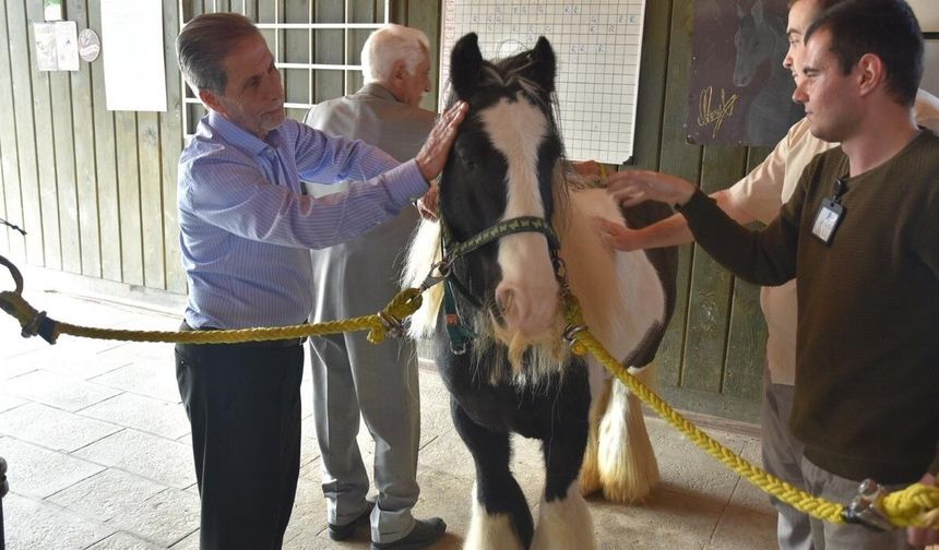 Pendik’te atlarla şifa: Yaşlılar için atla terapi dönemi başladı