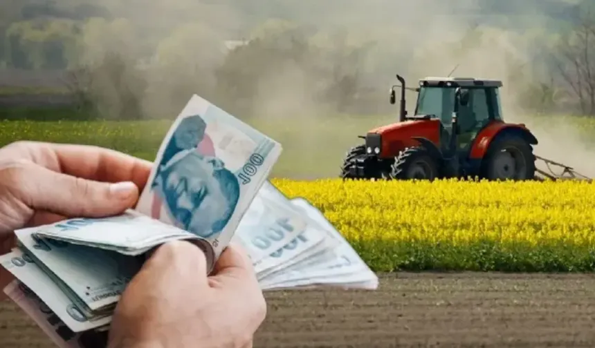 Tarım-GFE yıllık yüzde 31,55 arttı